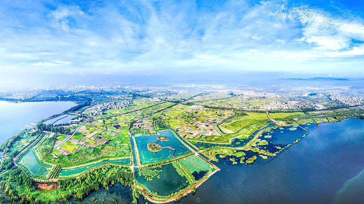星云湖南岸濕地、湖濱帶提質(zhì)改造工程